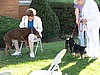 Friendly Neighbors